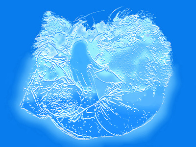 Lichtschildering Louis Bertholet