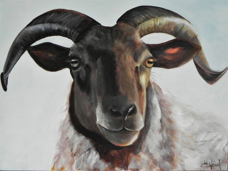 werk van Carla de Graaf