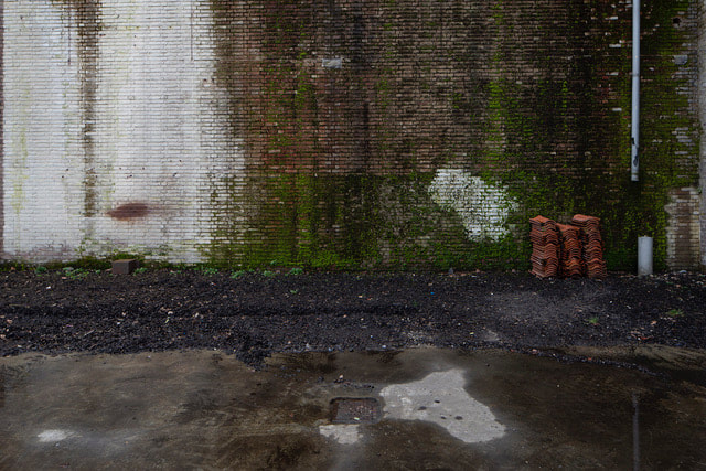 foto van Ruud Kuipers